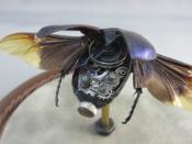 Watch Thumbnail Image