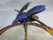 Watch Thumbnail Image