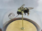 Watch Thumbnail Image