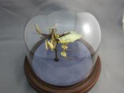 Watch Thumbnail Image
