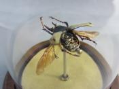 Watch Thumbnail Image