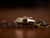 Watch Thumbnail Image
